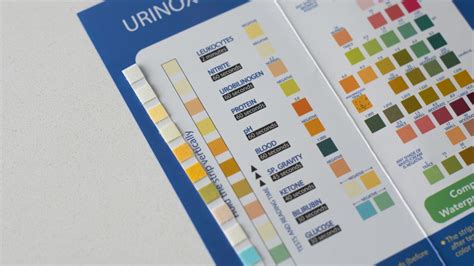 What To Make Of The Ph Level Of Urine