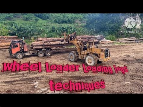 Amazing Skill Operator Wheel Loader Loading Logs On Logging Truk Youtube