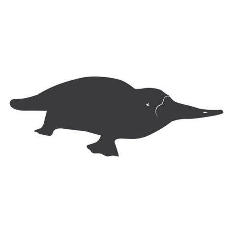 Diseño PNG Y SVG De Platypus Cola Pico De Pato Silueta Para Camisetas