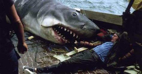 Never-Before-Seen Jaws Set Photos Unearthed from Martha's Vineyard