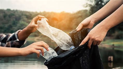 Algas Marinas Grillo Tener Un Picnic C Mo Evitar La Contaminaci N Del