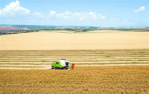 Usda Deve Reduzir As Estimativas Das Safras De Soja E Milho Sociedade