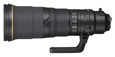 10 Best Telephoto Lenses for Wildlife Photographers (2021)