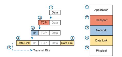 Ch 3 TCP IP Review Flashcards Quizlet