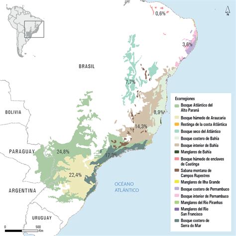 D A Internacional De La Madre Tierra Los Esfuerzos De Brasil Paraguay