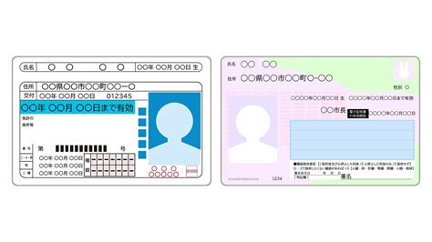 マイナ免許証の見た目がマイナンバーカードとどう違うのか徹底解説