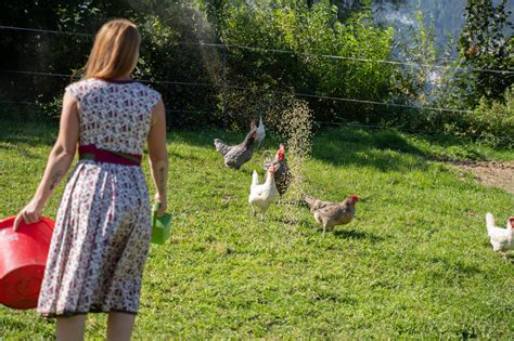 Unsere Tiere Plankhof Ketten