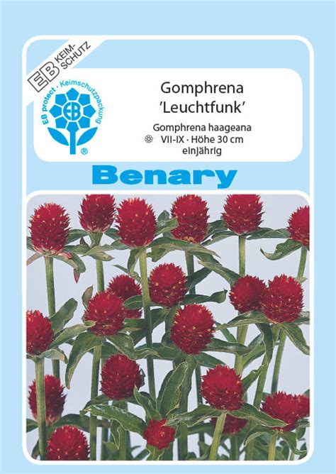 Gomphrena Leuchtfunk Amarantsamen Von Benary Samen Samenhaus Samen