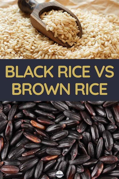 Basmati Rice vs Brown Rice