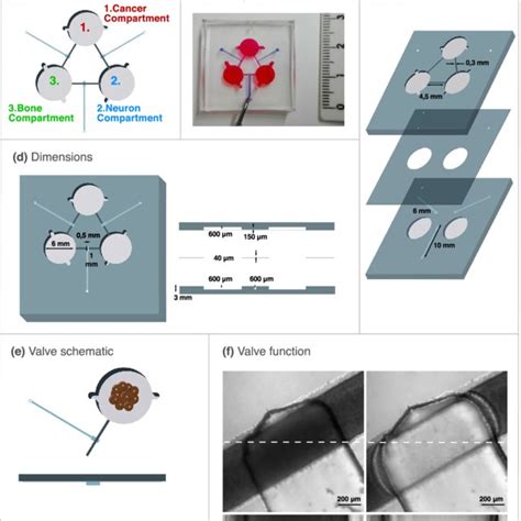 Concept And Design Of A Novel Microfluidic Platform With Three