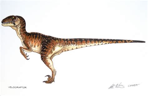 Jurassic Park Dinosaur Concept Art