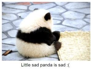 Little Sad Baby Panda [cute picture] – Furry Talk