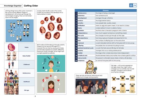 Curriculum Knowledge Organisers Hawthorn Primary School