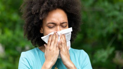 The 5 most common seasonal allergies | Live Science