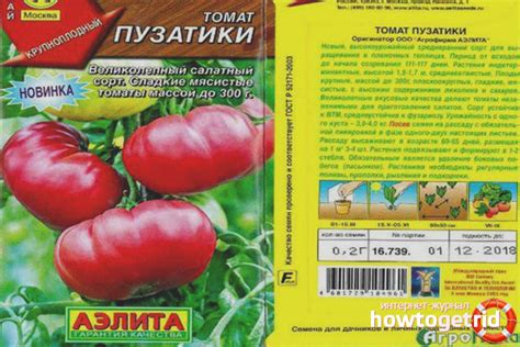 Томат Пузатики - описание и характеристика сорта