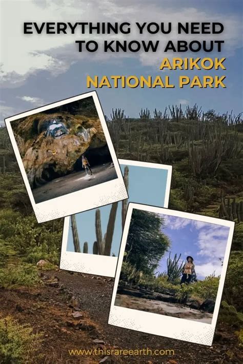 Everything You Need to Know About Arikok National Park - This Rare Earth