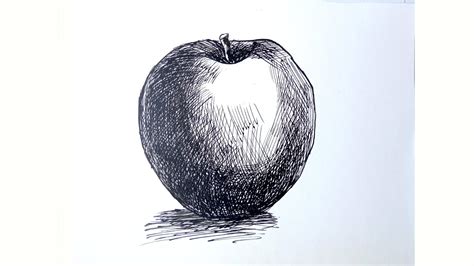 How To Draw Apple With Ink Ink Sketch Ink Sketch