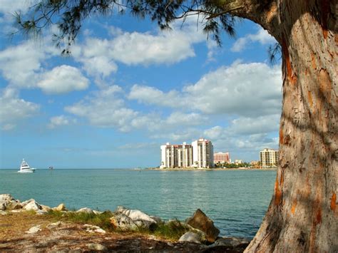 Sand Key Park Things To Know Before Visiting