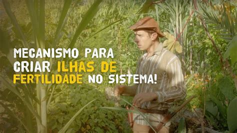 Sistema Agroflorestal Na Forma De RODEIRO YouTube