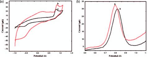 A Cyclic Voltammetry Of 500 M Of Salicylic Acid In A Phosphate Buffer Download Scientific