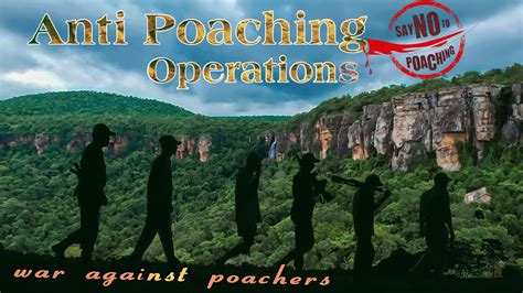 Anti Poaching Operation The Surgical Strikes On Poachers Udanti