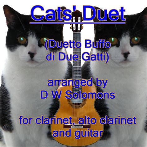 The Cats Duet Duetto Buffo Di Due Gatti For Guitar Clarinet And Alto