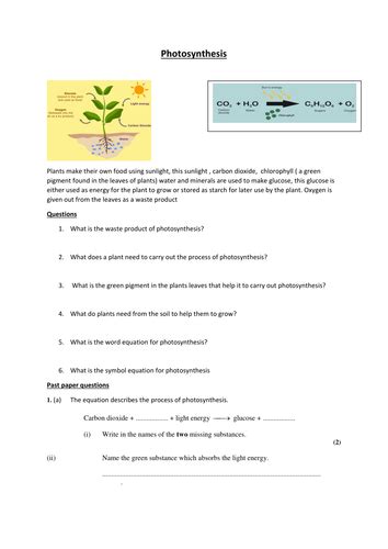 Photosynthesis Teaching Resources