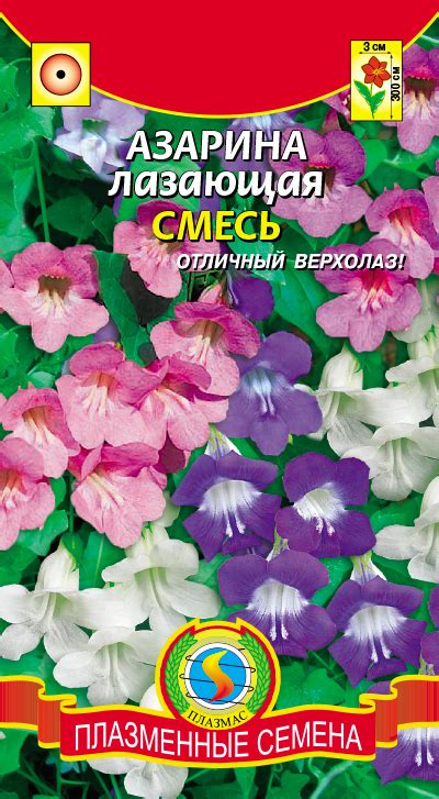 Азарина лазающая, СМЕСЬ - Плазменные семена