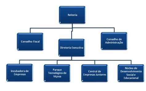 Modelo Pronto De Organograma Empresarial Organograma