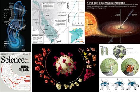 The best of Science graphics in 2022 | Science | AAAS