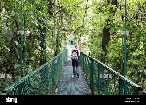 Canopy walk costa rica hi-res stock photography and images - Alamy