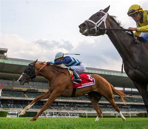 Poppy Flower finishes fast to get up in final jump of Intercontinental