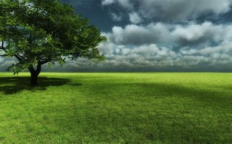 Grass Landscape Background wallpaper | 2560x1600 | #27184