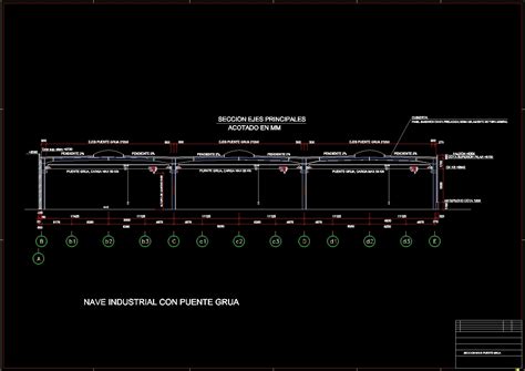 Section Industrial Nave With Bridge Crane DWG Section For AutoCAD