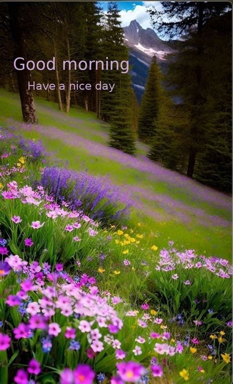 Pin on Good Morning | Good morning nature, Good morning beautiful pictures, Good morning friends ...