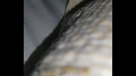 Big Pussy Creampie Search XNXX