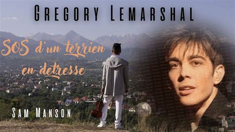 SOS D Un Terrien En Detresse Gregory Lemarshal Cover Violin YouTube