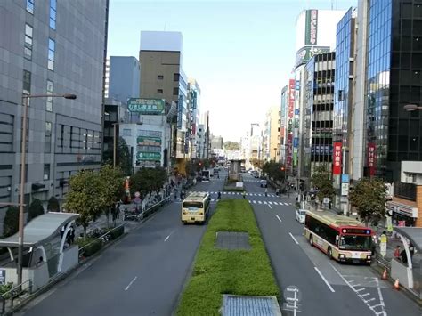 八王子駅（八王子市）の住みやすさ 特徴・周辺情報・便利なチェーン店 ｜townu（タウニュー）