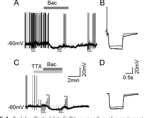 Figure 1 From Estrous Cycle And Sex Dependent Changes In Pre And