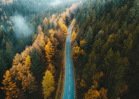 Autumn colours in the Peak District, UK : r/MostBeautiful