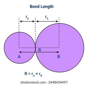 Bond Length Equilibrium Distance Between Nuclei Stock Vector Royalty