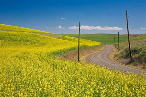 The Joys of Landscape Photography: The Palouse