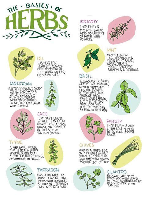 13 Best Herb Posters Images Herbs Herbalism Herb Garden