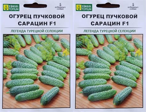 Огурцы огурец сарацин, 2шт - купить по выгодным ценам в интернет ...