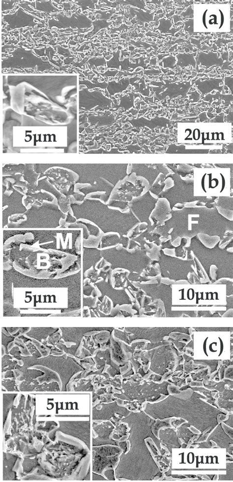 Final Microstructures After Intercritical Annealing At 770°c Followed