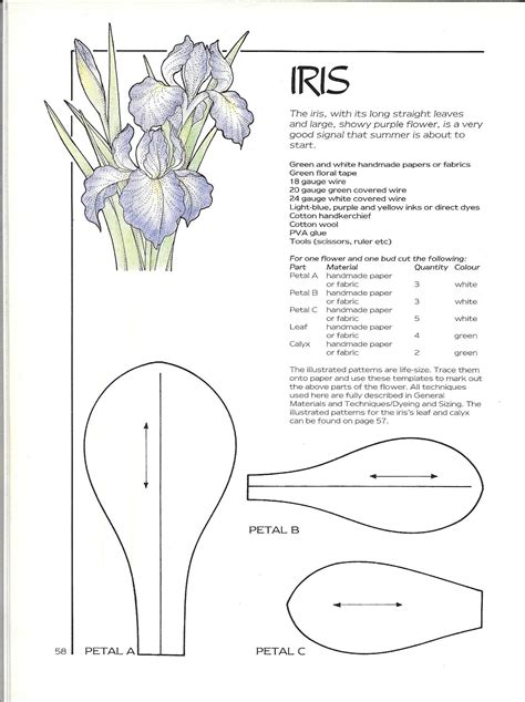 Iris 02 Paper Flower Patterns Paper Flowers Diy Flower Template