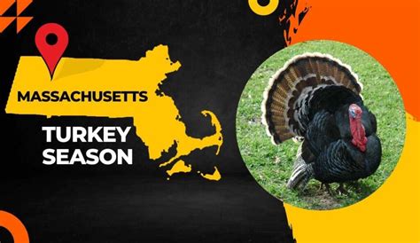 Massachusetts Turkey Season 2025 Emmi Jerrie