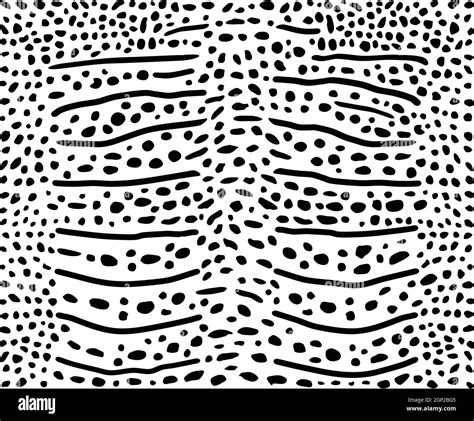 Background of whale shark skin Stock Vector Image & Art - Alamy