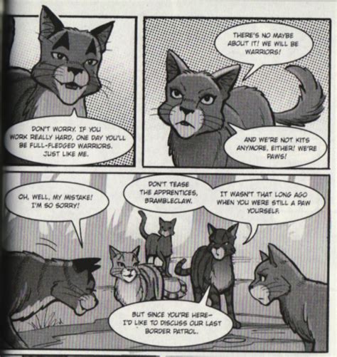 Warrior Cats Bramblestars Storm 