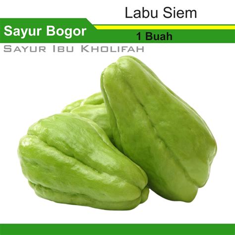 Jual Labu Siam Siem Hijau Segar Manisa Bh Sayur Sayuran Segar Bogor